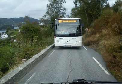 Buss i Kvamsbrekko. 